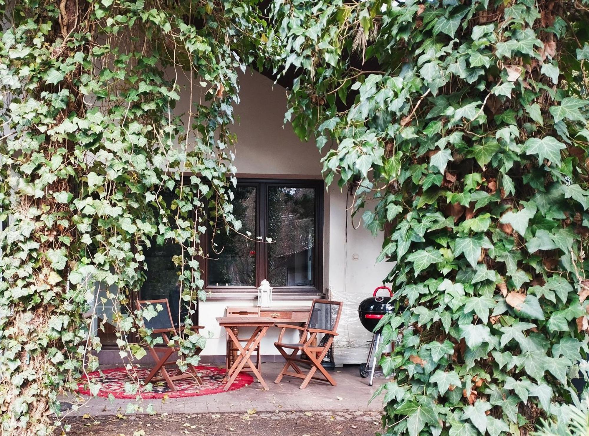 Nest 4 Rest Hotel Konstancin-Jeziorna Buitenkant foto